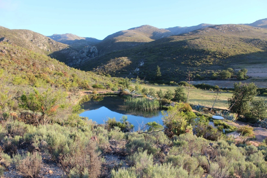 Commercial Property for Sale in Uniondale Rural Western Cape